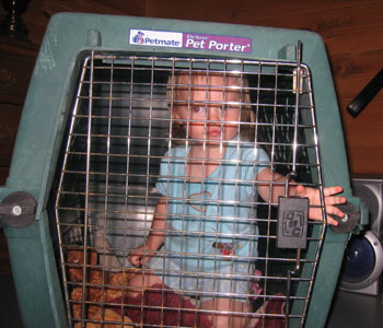 Their dog, Stable's cage was much more fun than that pontoon boat!